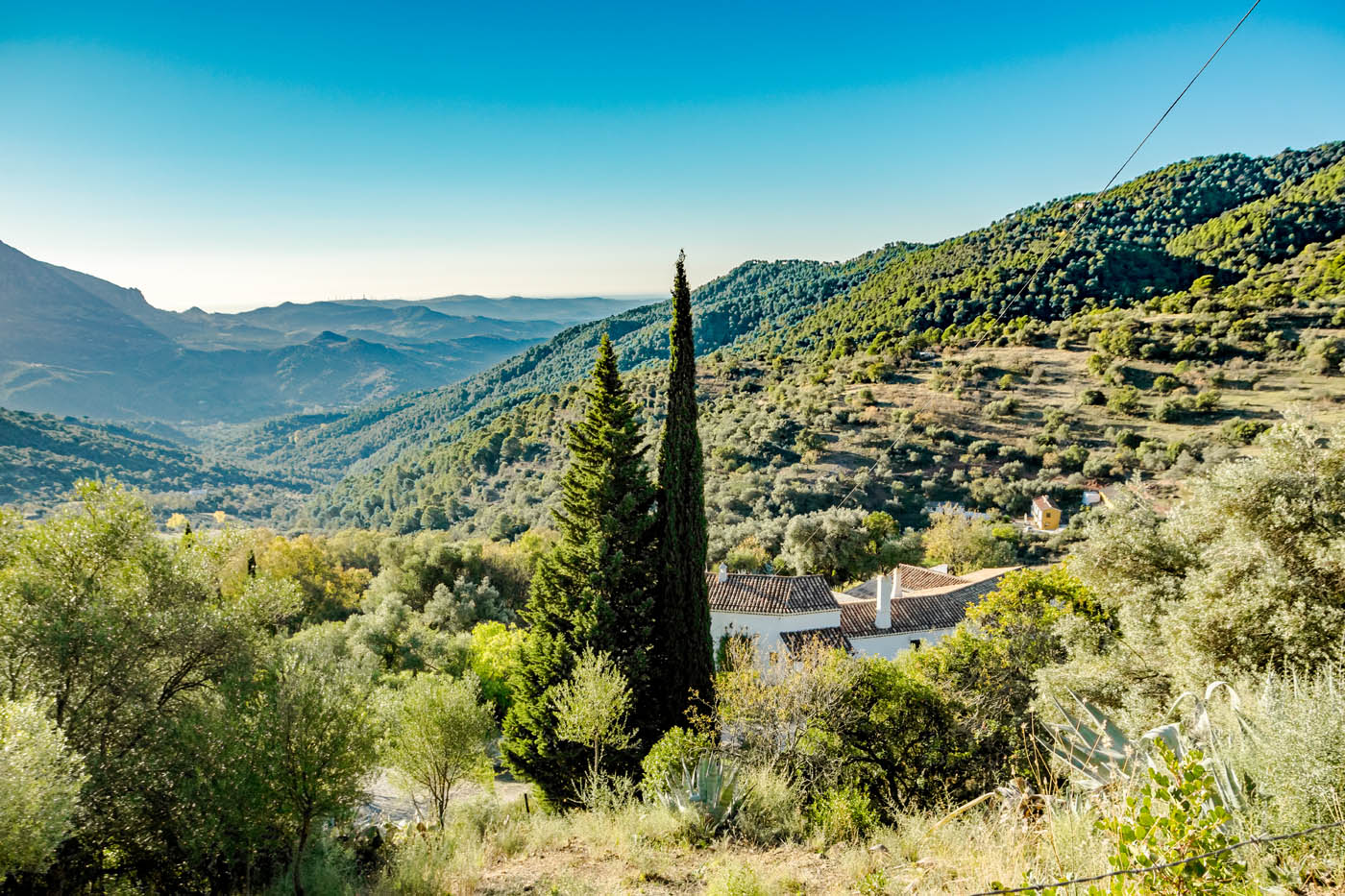 Bottom valley location close to Gaucin village